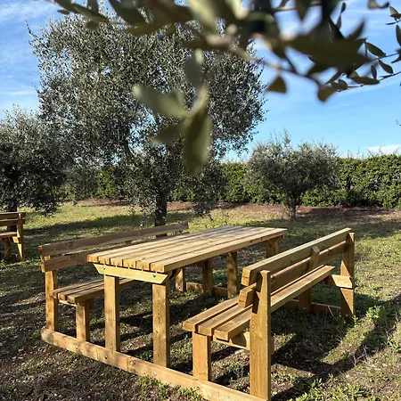 Luisa Alojamento de Turismo Rural Apice
