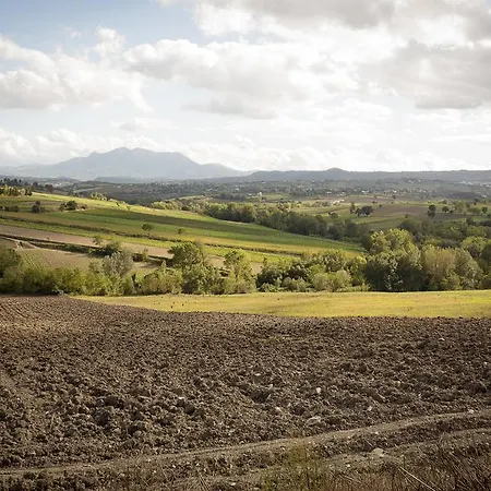 Luisa Alojamento de Turismo Rural *